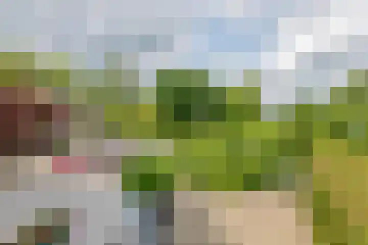 Overheicop 68 b Schoonrewoerd thumbnail 26