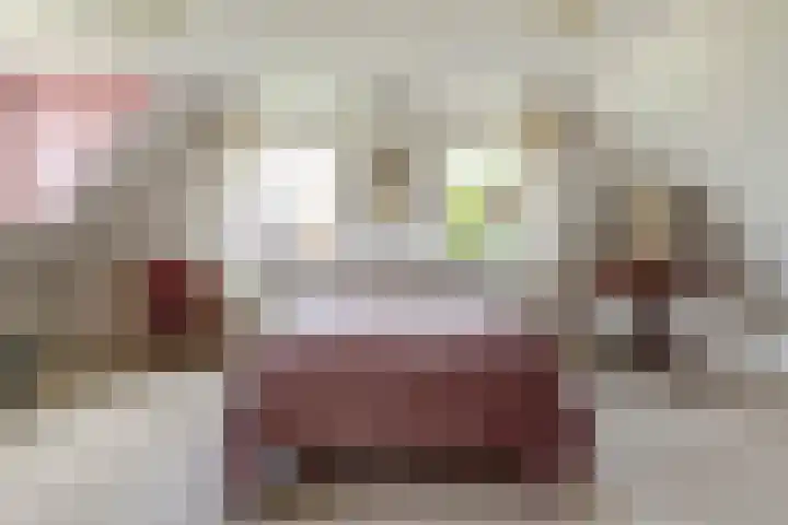 Overheicop 68 b Schoonrewoerd thumbnail 37