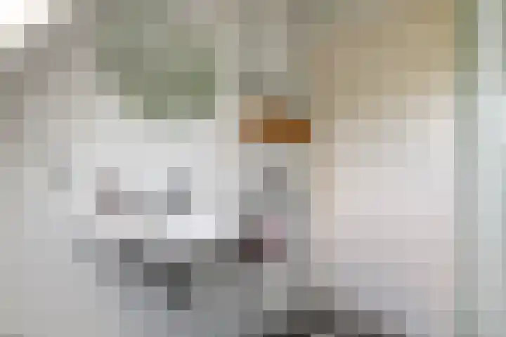 Overheicop 68 b Schoonrewoerd thumbnail 39