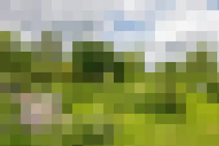 Overheicop 68 b Schoonrewoerd thumbnail 45