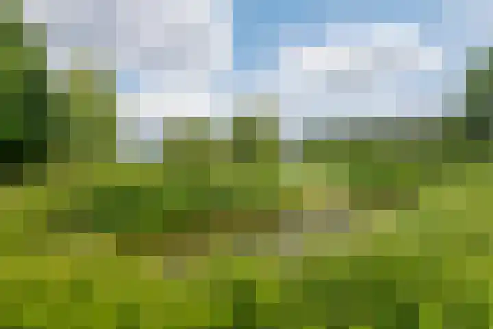 Overheicop 68 b Schoonrewoerd thumbnail 47