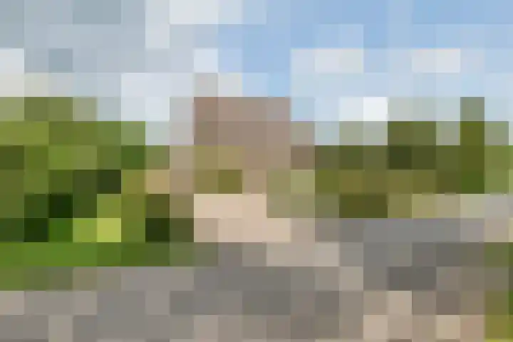 Overheicop 68 b Schoonrewoerd thumbnail 6