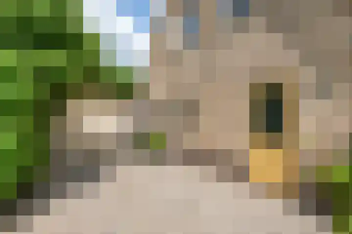 Overheicop 68 b Schoonrewoerd thumbnail 7