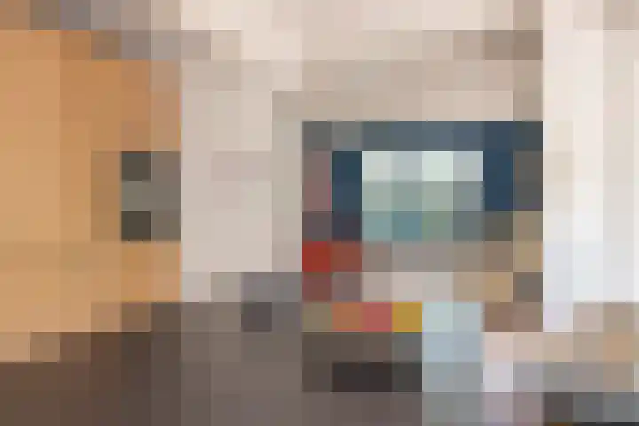 Overheicop 72 Schoonrewoerd thumbnail 15
