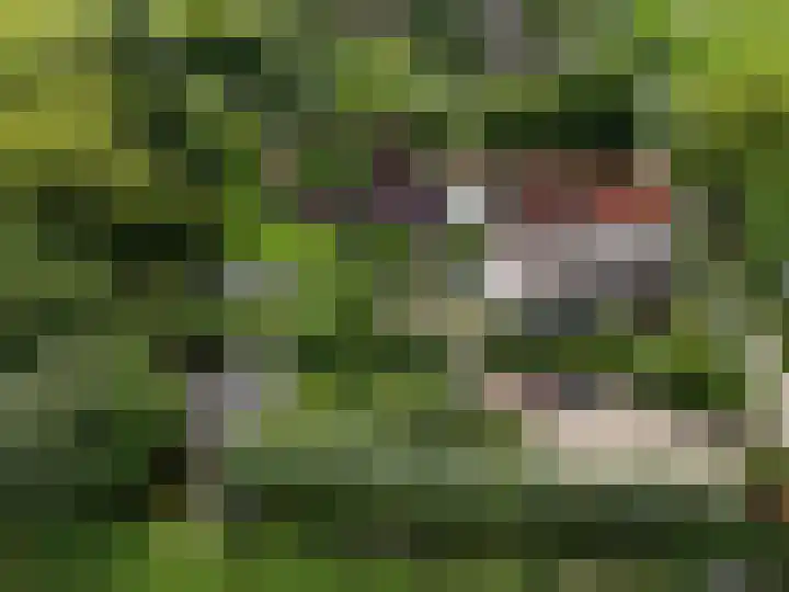 Overheicop 72 Schoonrewoerd foto 2