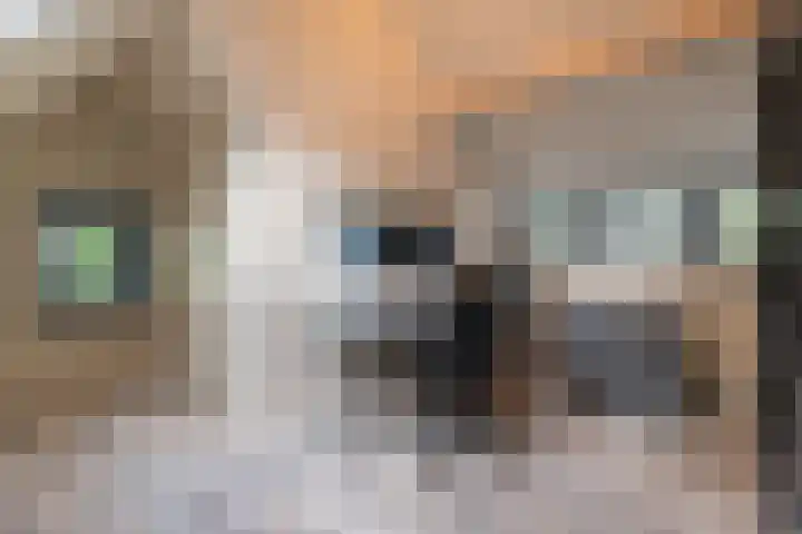Overheicop 72 Schoonrewoerd thumbnail 27