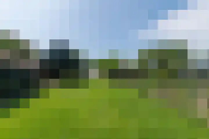 Overheicop 72 Schoonrewoerd thumbnail 32