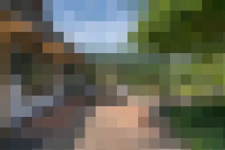 Overheicop 72 Schoonrewoerd thumbnail 38