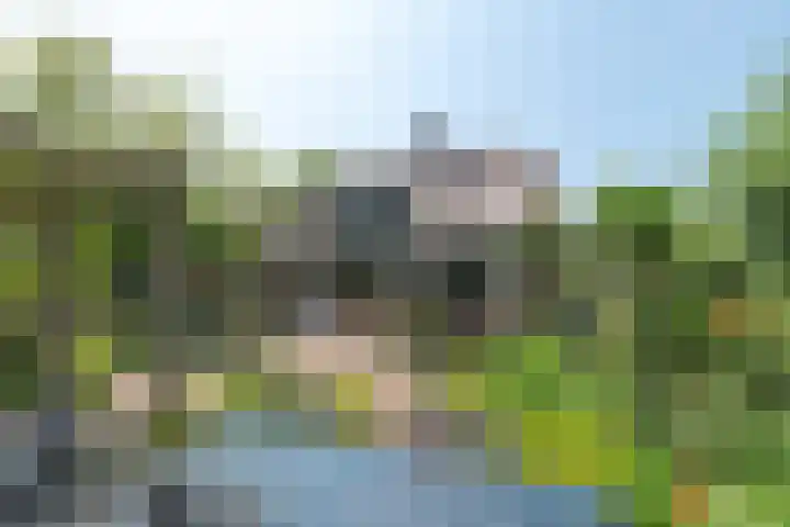 Overheicop 72 Schoonrewoerd thumbnail 4