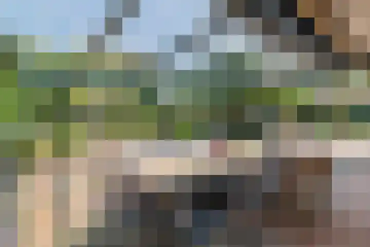 Overheicop 72 Schoonrewoerd thumbnail 40