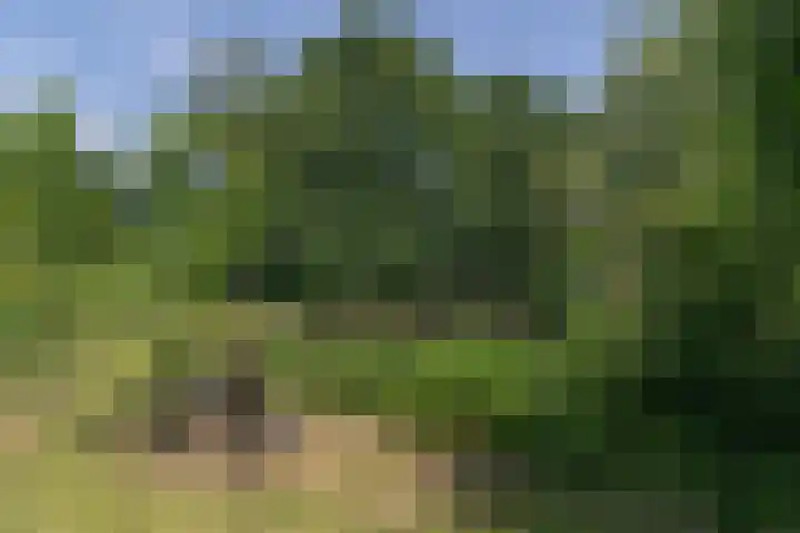 Overheicop 72 Schoonrewoerd thumbnail 43