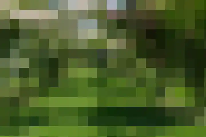 Overheicop 72 Schoonrewoerd thumbnail 48
