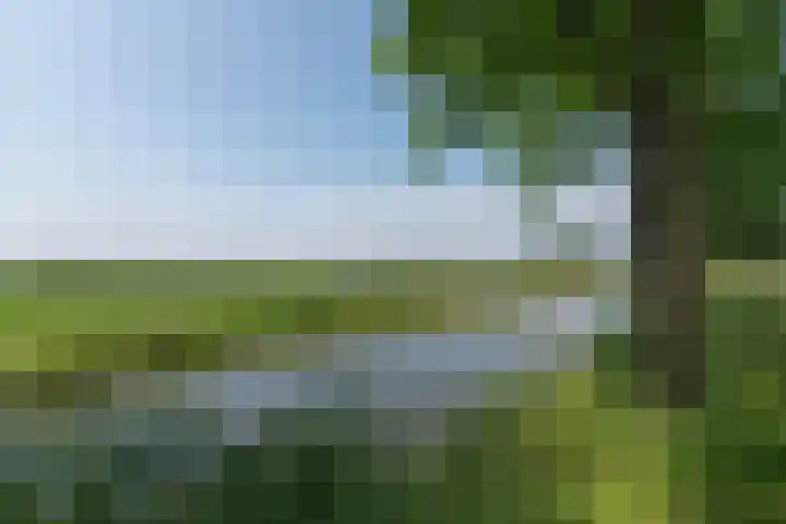 Overheicop 72 Schoonrewoerd thumbnail 51