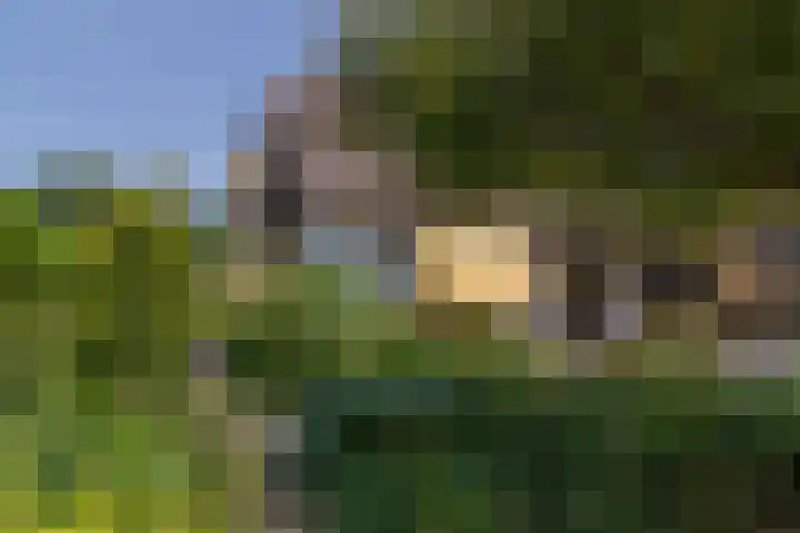 Overheicop 72 Schoonrewoerd thumbnail 52
