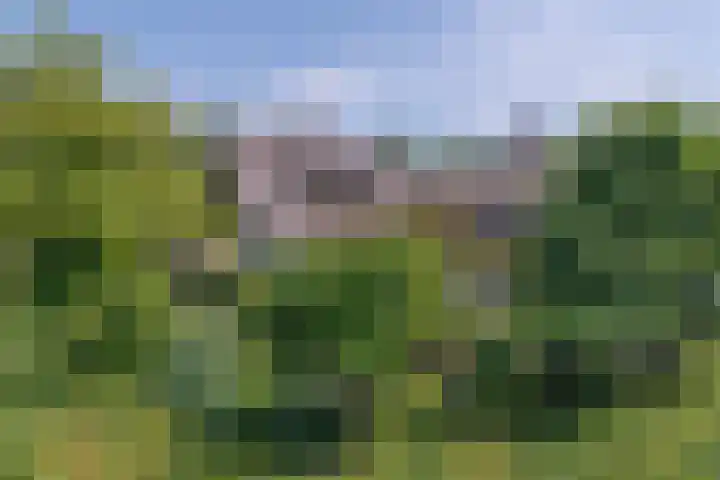 Overheicop 72 Schoonrewoerd thumbnail 55
