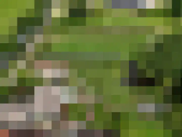 Overheicop 72 Schoonrewoerd thumbnail 58