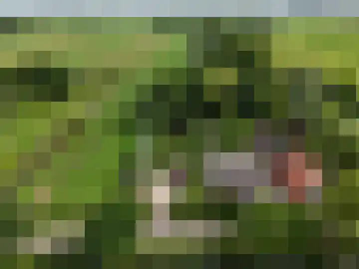 Overheicop 72 Schoonrewoerd thumbnail 68