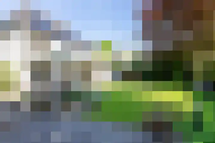 Overhorst 34 Helmond thumbnail 36