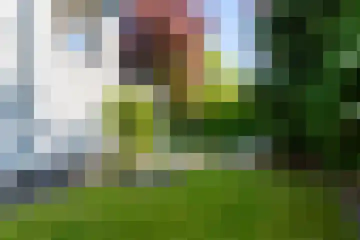 Overhorst 34 Helmond thumbnail 42