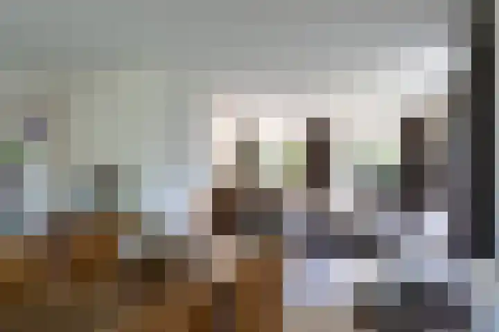 Overhorst 34 Helmond thumbnail 8