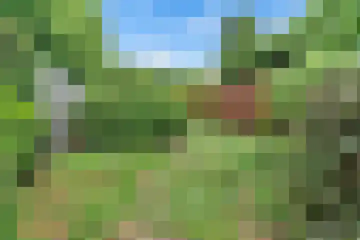Overhoven 53 Sittard thumbnail 14