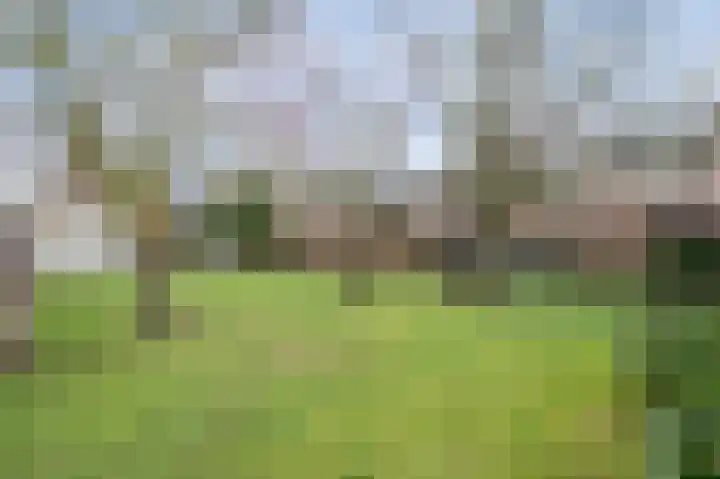 Overhoven 81 Sittard thumbnail 6