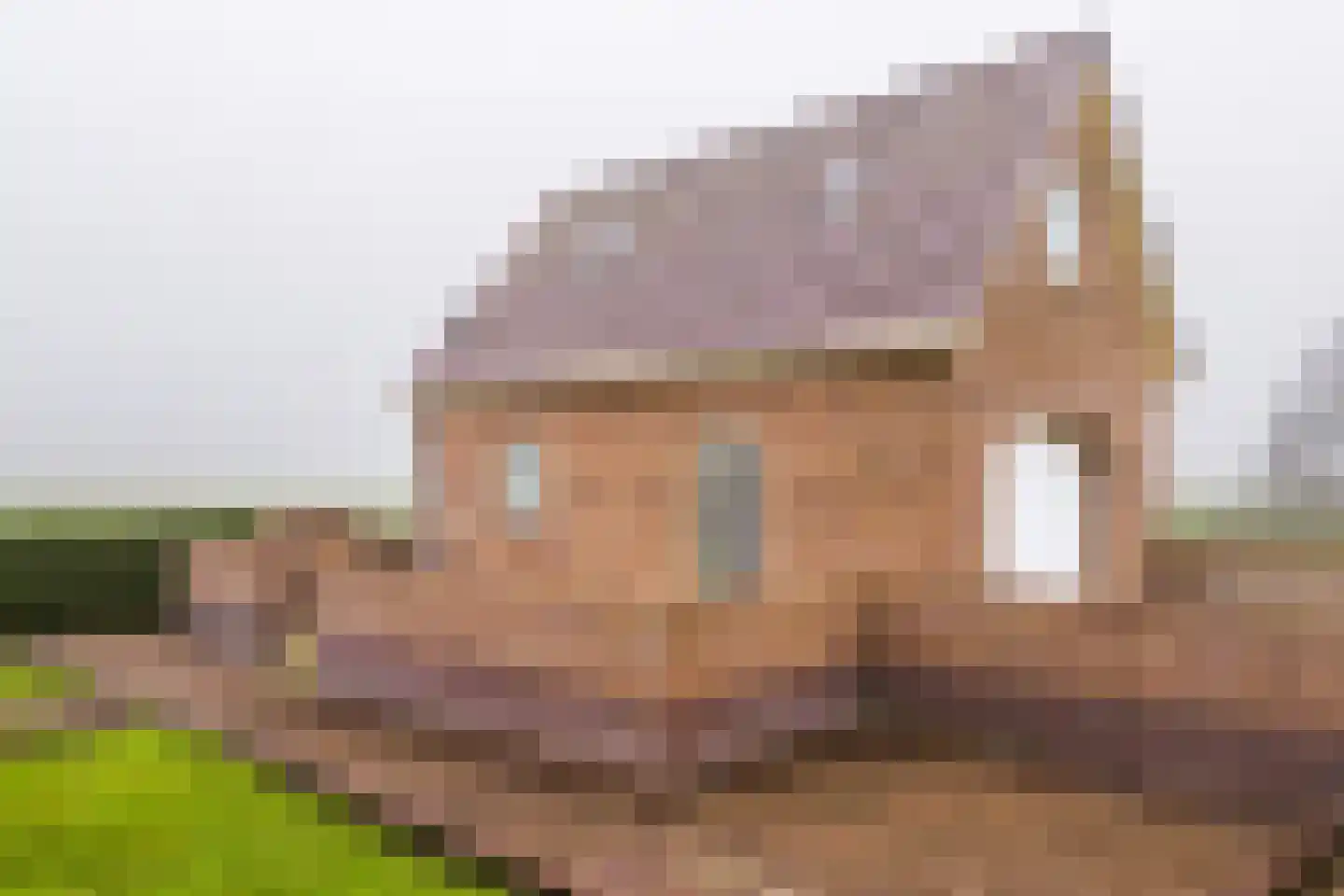 Overleek 1 A Monnickendam thumbnail 30
