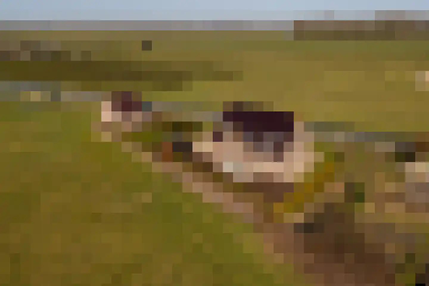 Overleek 1 A Monnickendam thumbnail 38