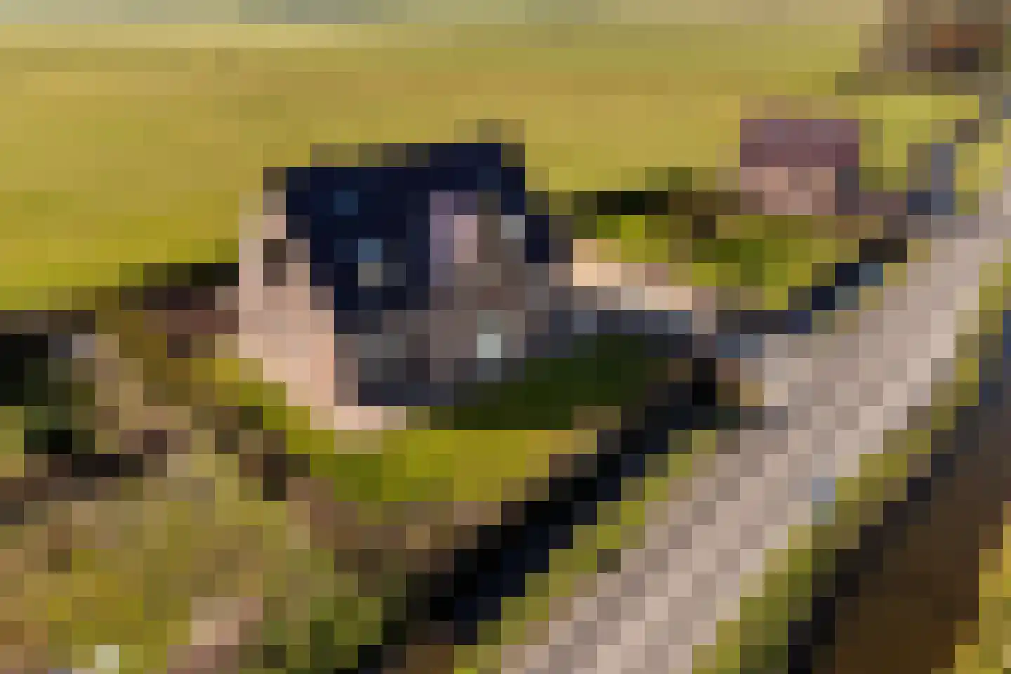 Overleek 1 A Monnickendam thumbnail 5