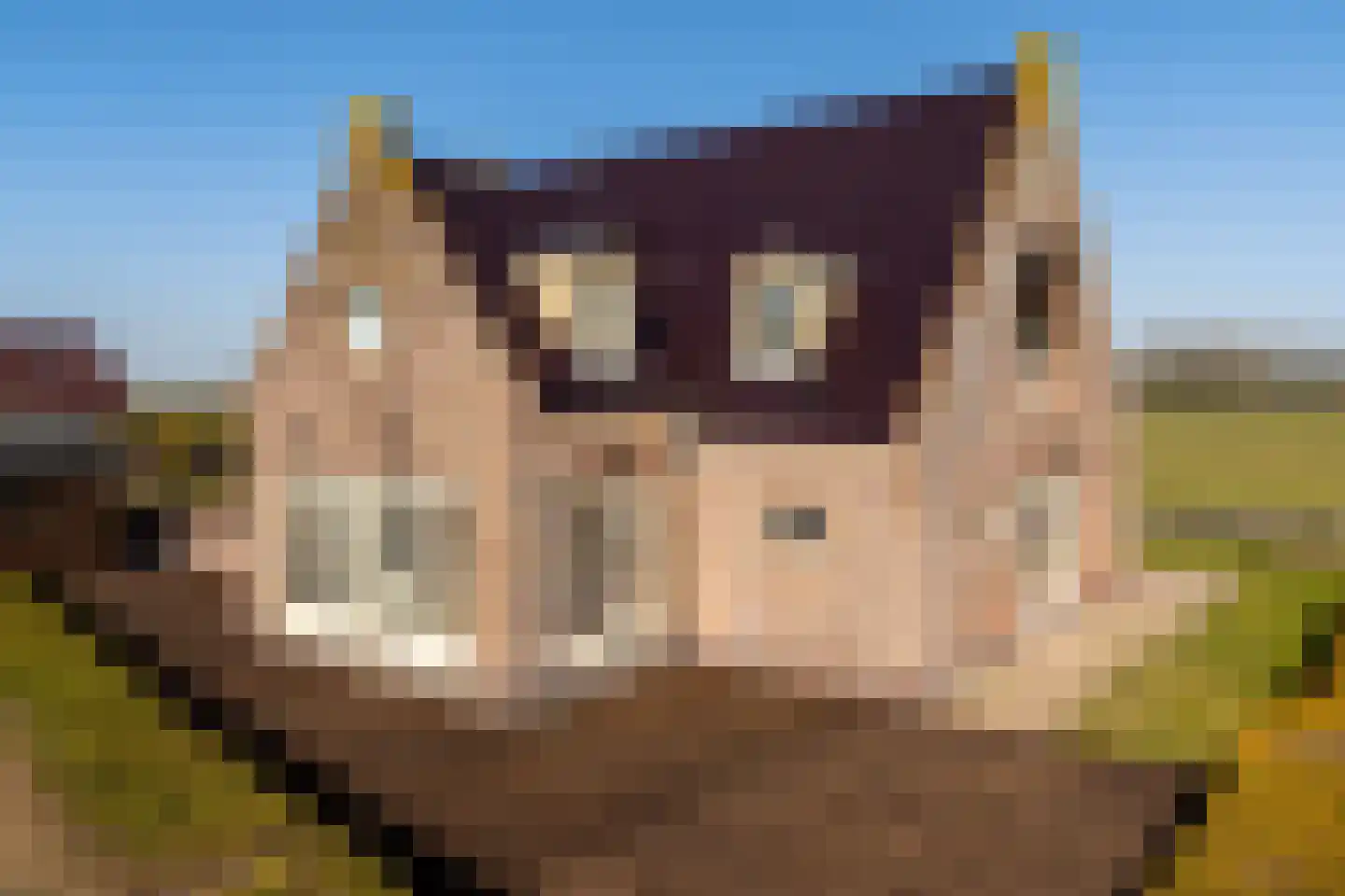 Overleek 1 A Monnickendam thumbnail 6