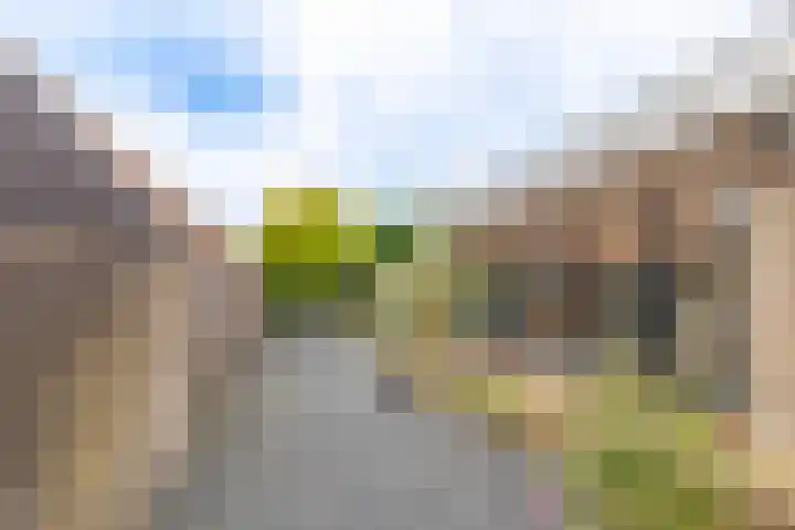 Overloonseweg 75 A Venray thumbnail 21