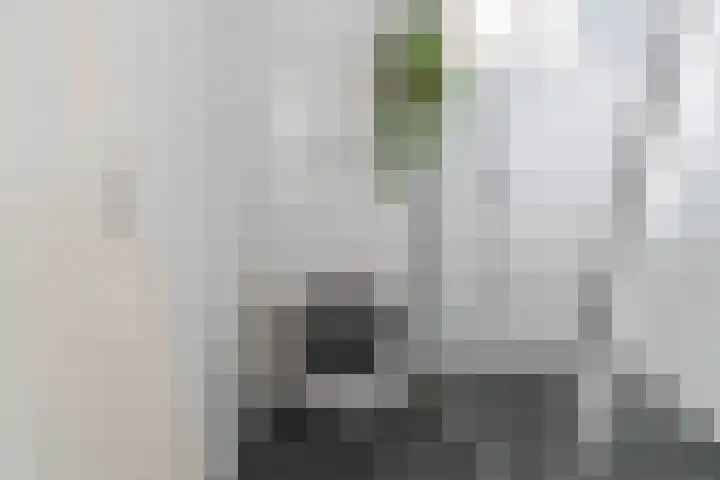 Overloonseweg 75 A Venray thumbnail 39