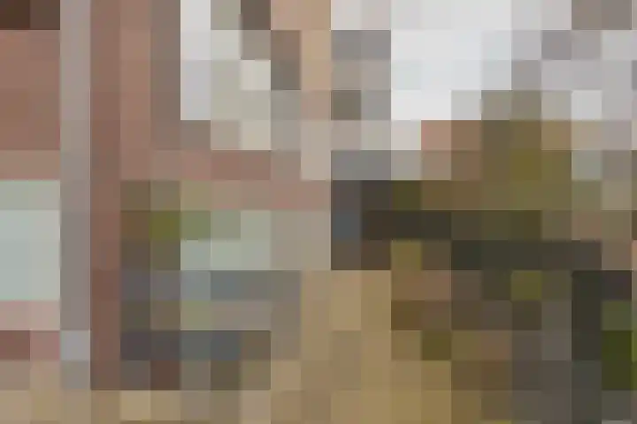 Overrijn 8 Leiden thumbnail 7