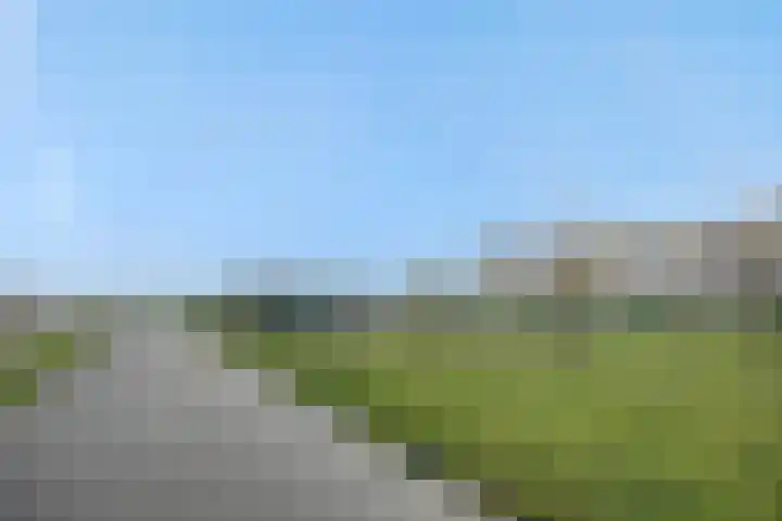 Overschie 3 's-Hertogenbosch thumbnail 4