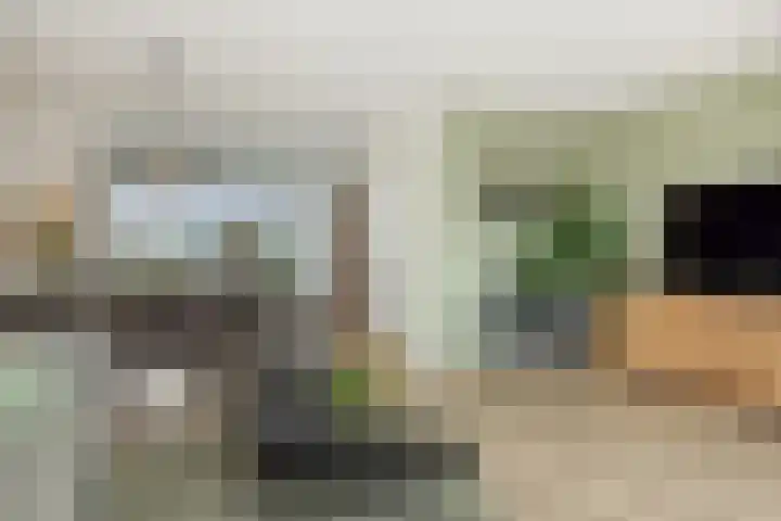 Overschie 3 's-Hertogenbosch thumbnail 7