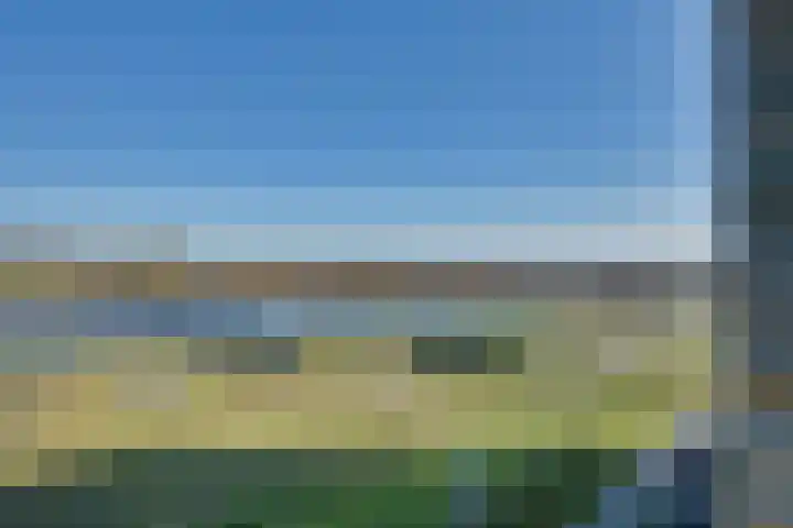 Overschie 7 's-Hertogenbosch thumbnail 20