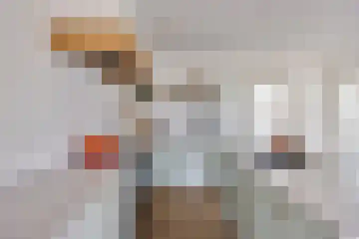 Overschot 9 Bakel thumbnail 13