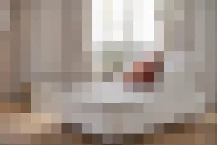 Overschot 9 Bakel thumbnail 18