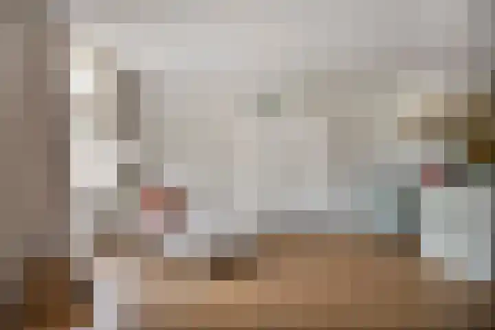 Overschot 9 Bakel thumbnail 22