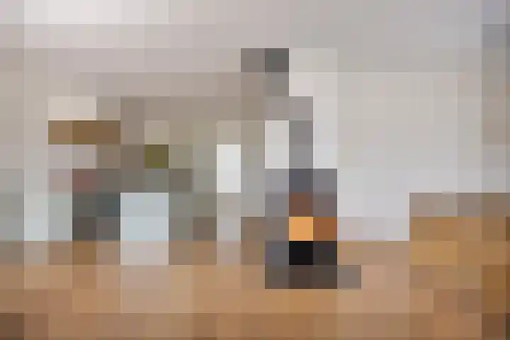 Overschot 9 Bakel thumbnail 24