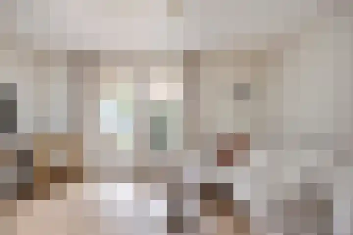 Overschot 9 Bakel thumbnail 27
