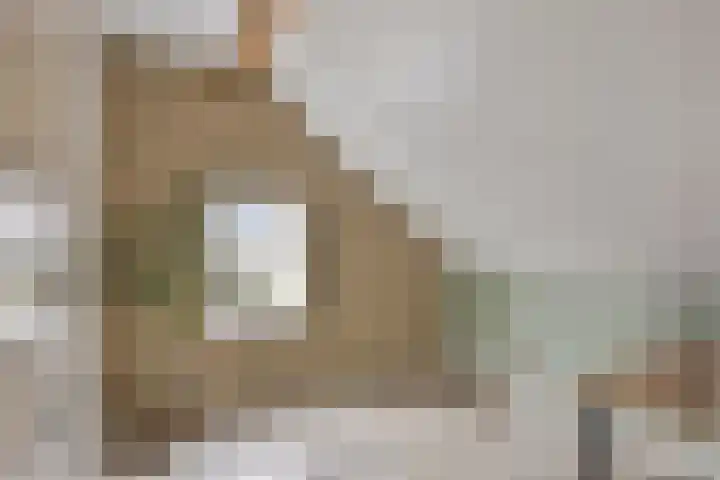 Overschot 9 Bakel thumbnail 40