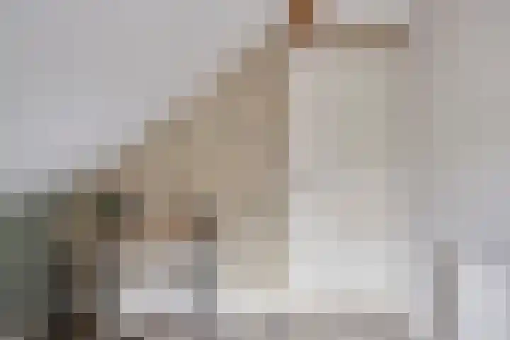 Overschot 9 Bakel thumbnail 41