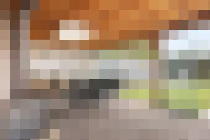 Overschot 9 Bakel thumbnail 49