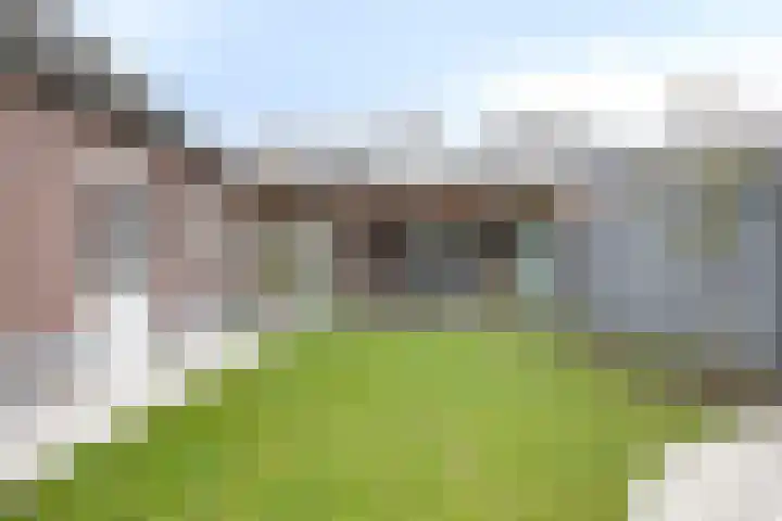 Overschot 9 Bakel thumbnail 53