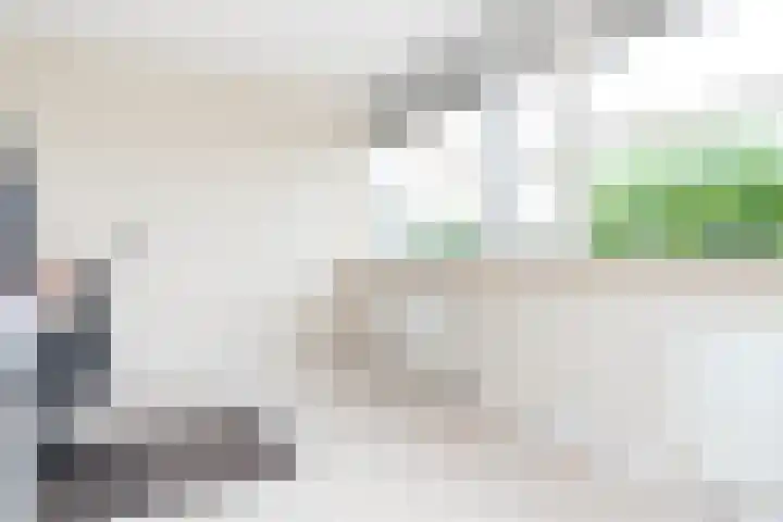Overste Kamp 16 Elst thumbnail 31
