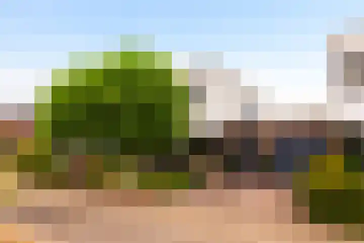 Overste Kamp 16 Elst thumbnail 44