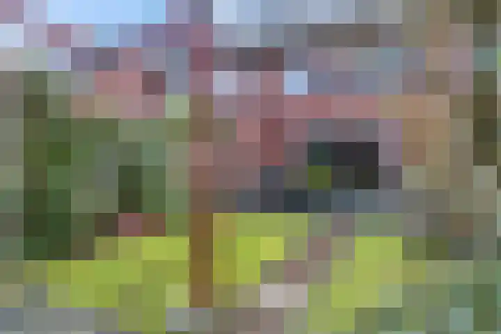 Oversteek 35 Ede thumbnail 35