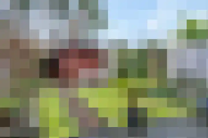 Oversteek 35 Ede thumbnail 40
