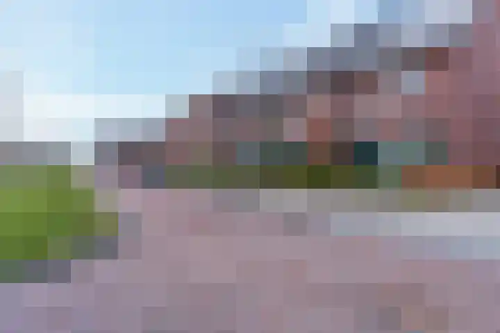 Oversteek 35 Ede thumbnail 49